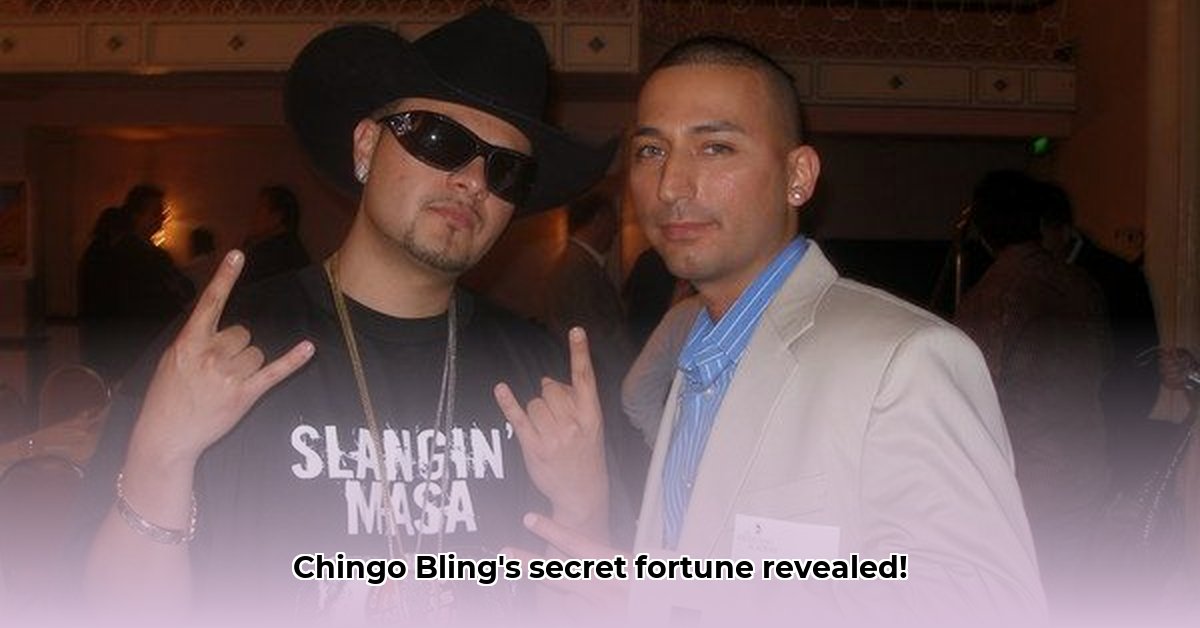 chingo-bling-net-worth